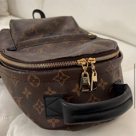 Louis Vuitton Palm Springs Backpack PM - Picture 2 of 16